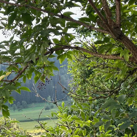 Refugium Apartamento *