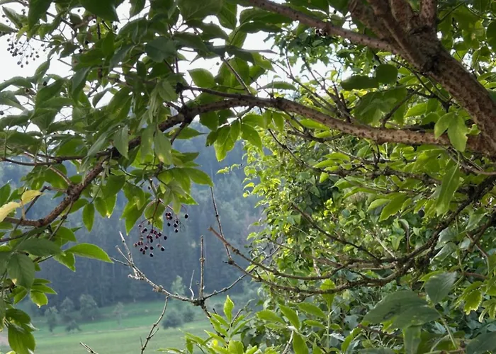 Refugium Apartament *